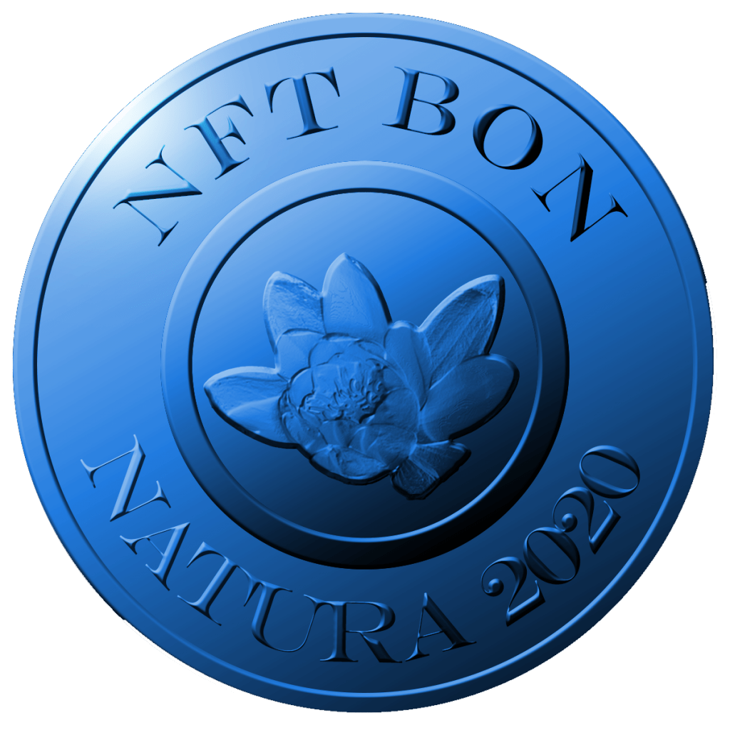 NFT BON