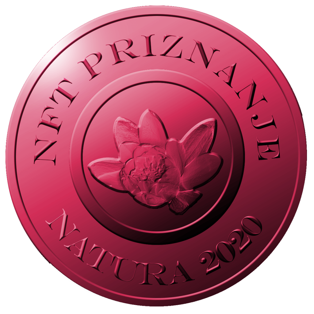 NFT PRIZNANJE