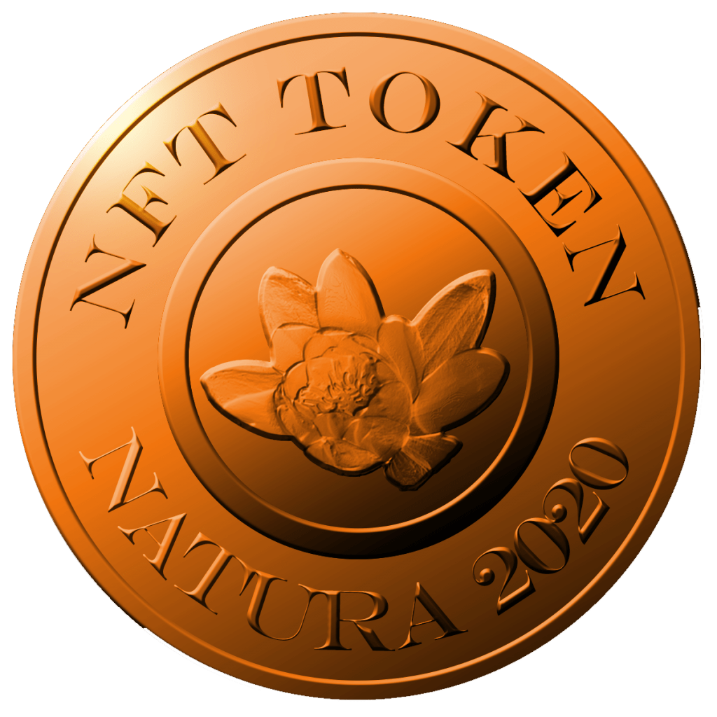 NFT TOKEN